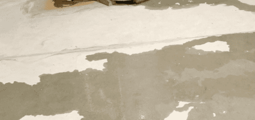 Water leak on basement floor