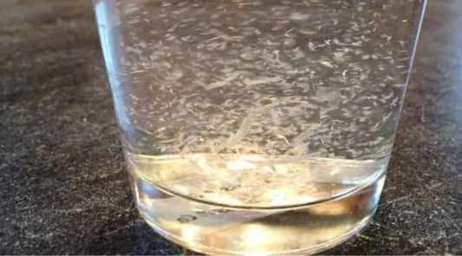 white water mold white water mold