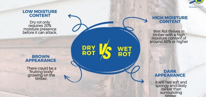 Dry Rot Vs Wet Rot