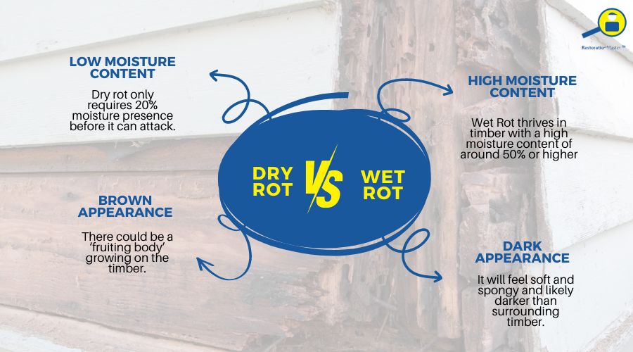 Dry Rot Vs Wet Rot Dry Rot Vs Wet Rot