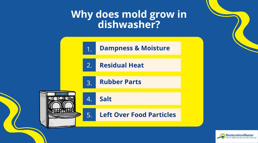 why mold grows in dishwasher why mold grows in dishwasher