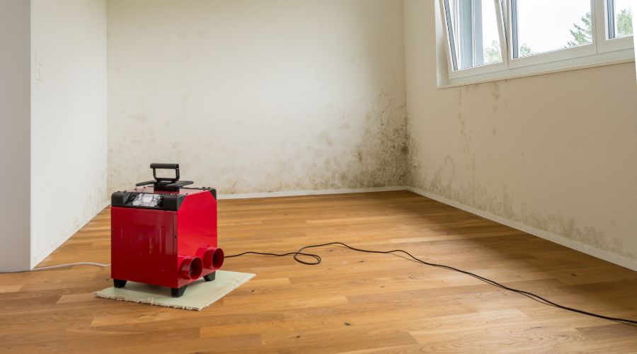 professionals drying water damaged walls professionals drying water damaged walls