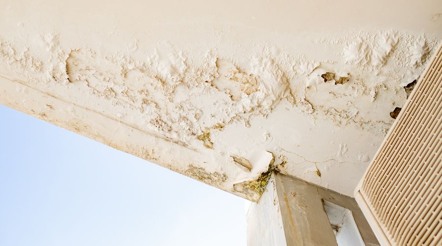 water damage in florida condo