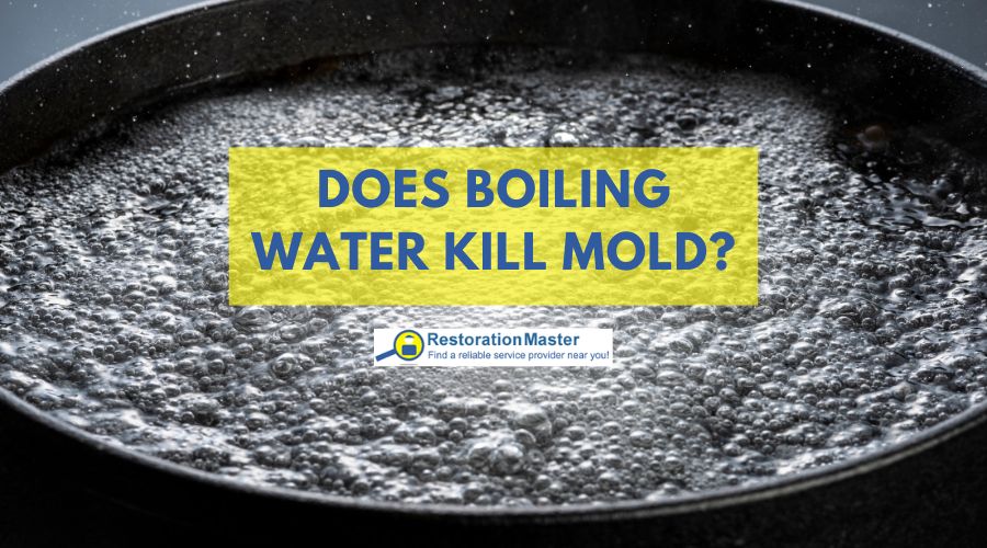 Does Boiling Water kill Mold - RestorationMaster