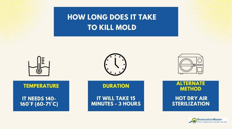 What Temperature Does Mold Die - RestorationMaster