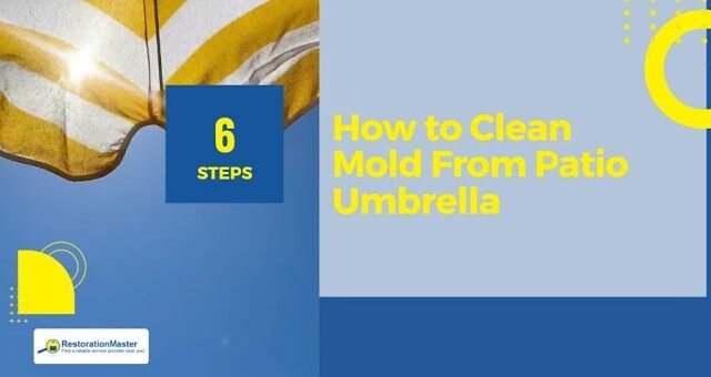 mold removal tips from patio umbrella