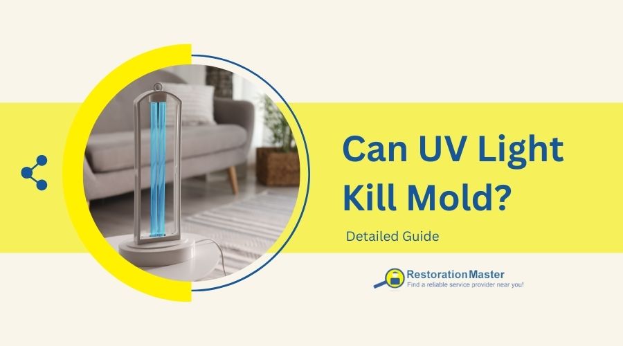 can UV light kill mold? can UV light kill mold?