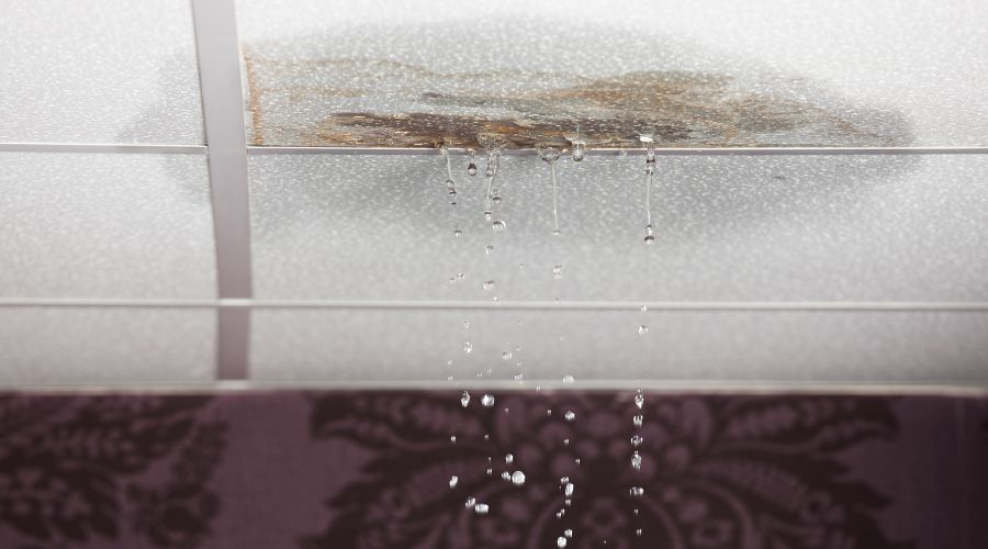water leaking from the plaster ceiling water leaking from the plaster ceiling