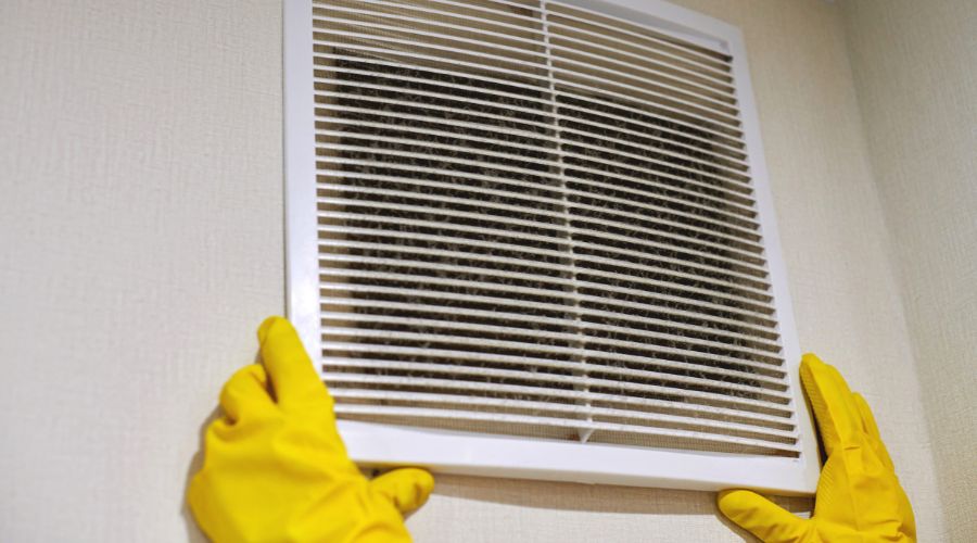 HVAC mold removal HVAC mold removal