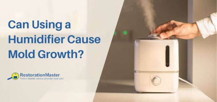 Mold Growth in Humidifier - RestorationMaster