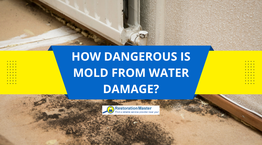 How Dangerous is Mold Growth From Water Damage? - RestorationMaster How Dangerous is Mold Growth From Water Damage? - RestorationMaster