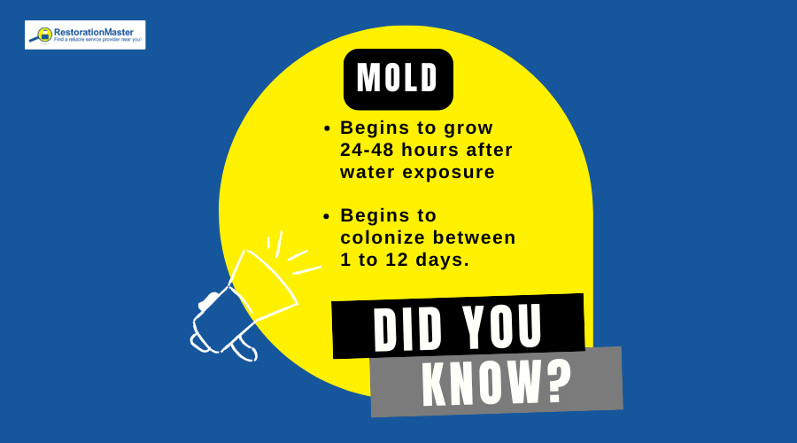 Did You Know Mold Growth - RestorationMaster Did You Know Mold Growth - RestorationMaster