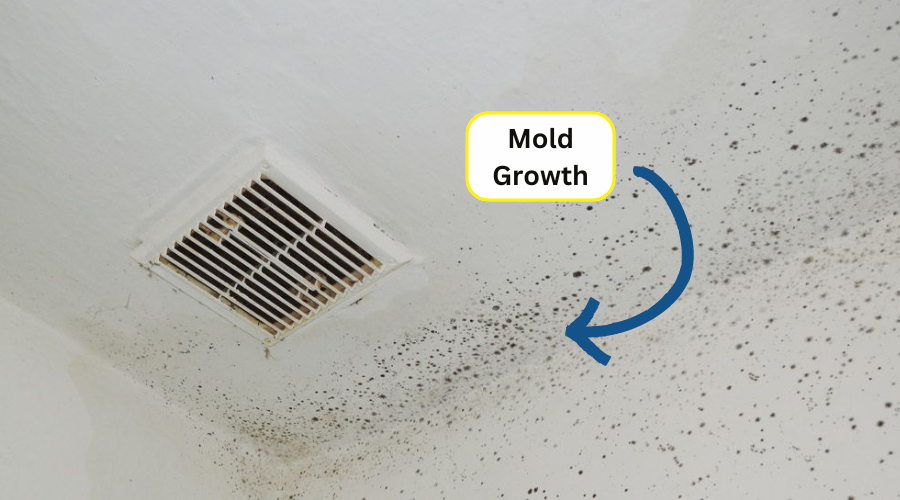 Mold Growth on the Ceiling from Water Damage - RestorationMaster