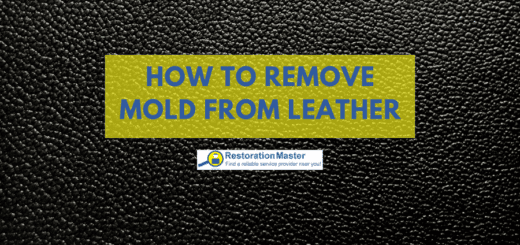 How to Remove Mold from Leather - RestorationMaster