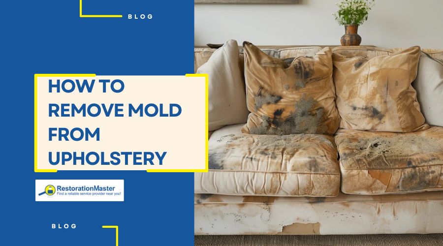 tips-to-remove-mold-from-upholstery tips-to-remove-mold-from-upholstery