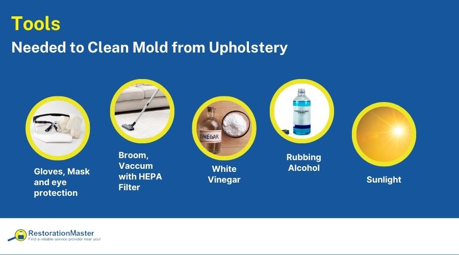 tools needed to clean mold from upholstery tools needed to clean mold from upholstery