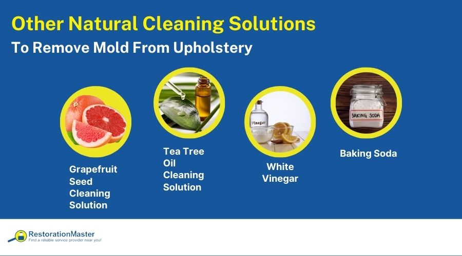 natural-cleaning-solutions-used-to-clean-mold-from-upholstery natural-cleaning-solutions-used-to-clean-mold-from-upholstery