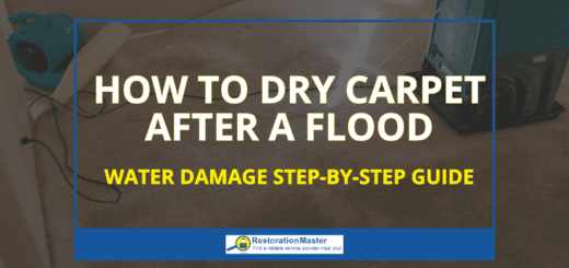 How to Dry Carpet After a Flood - RestorationMaster