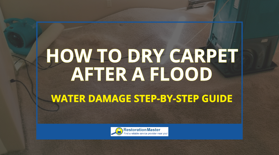 How to Dry Carpet After a Flood - RestorationMaster How to Dry Carpet After a Flood - RestorationMaster