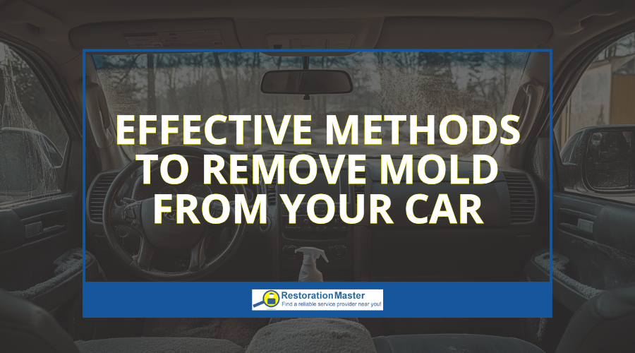 How to Remove Mold from Your Car - RestorationMaster How to Remove Mold from Your Car - RestorationMaster