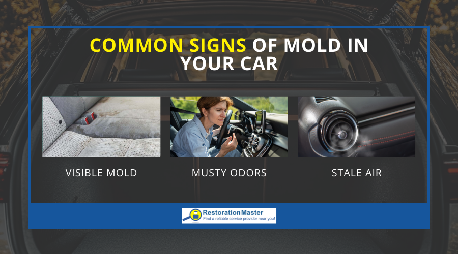 Signs of Mold Growth in the Car - RestorationMaster Signs of Mold Growth in the Car - RestorationMaster