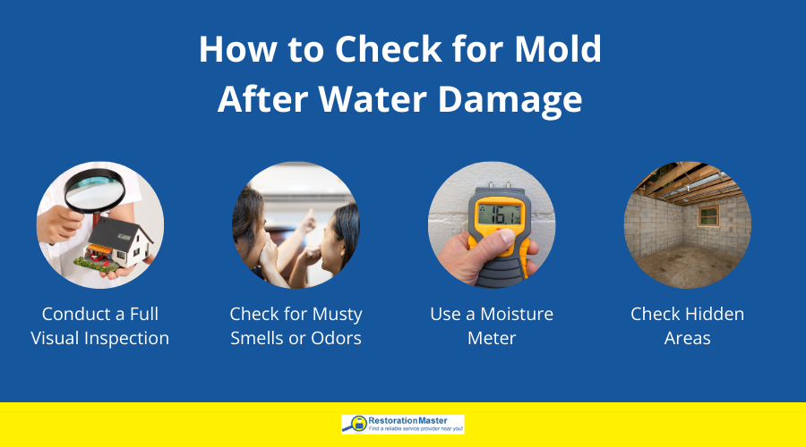 Check for Mold After Water Damage Check for Mold After Water Damage