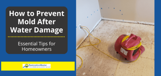 How to Prevent Mold Growth After Water Damage