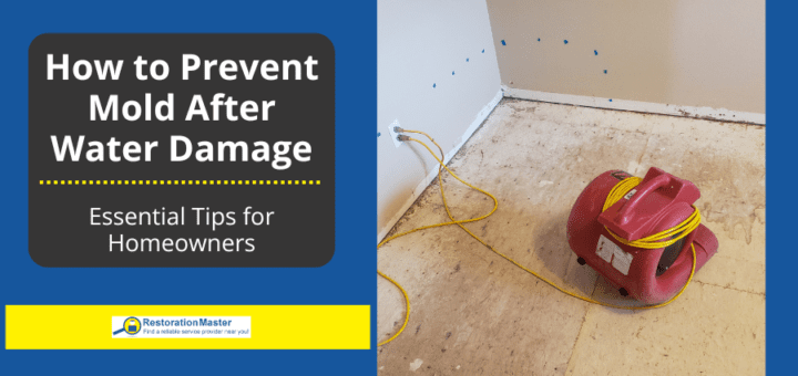 How to Prevent Mold Growth After Water Damage