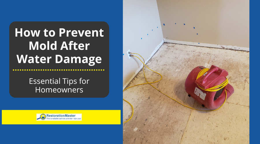 How to Prevent Mold Growth After Water Damage How to Prevent Mold Growth After Water Damage