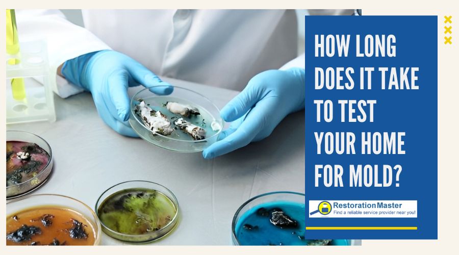 how long does it take to test your home for mold how long does it take to test your home for mold