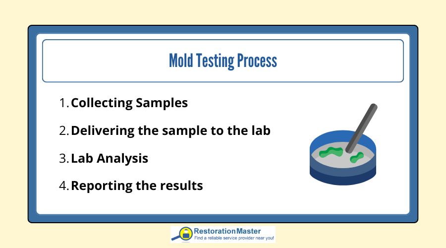 mold-testing-process mold-testing-process