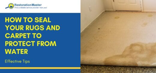 how-to-seal-rugs-and-carpet-to-protect-from-water-damage
