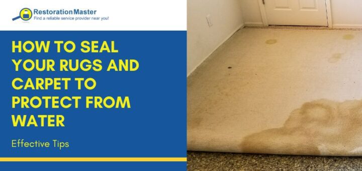 how-to-seal-rugs-and-carpet-to-protect-from-water-damage