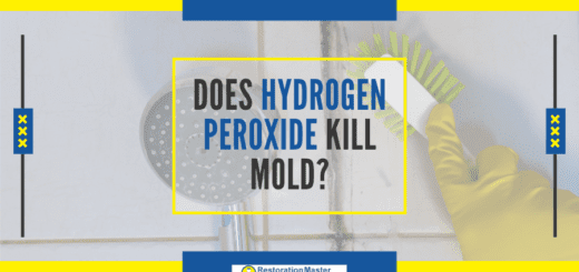 Does Hydrogen Peroxide Kill Mold - RestorationMaster