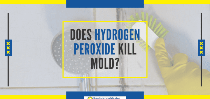 Does Hydrogen Peroxide Kill Mold - RestorationMaster