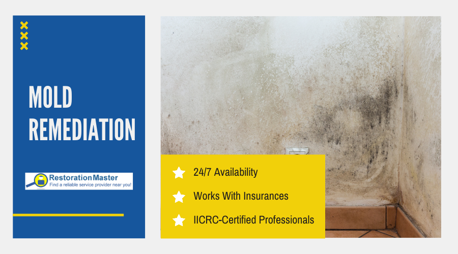 Mold Remediation Professionals - RestorationMaster Mold Remediation Professionals - RestorationMaster