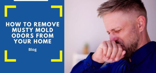 remove mold odors from home proven tips and home remedies