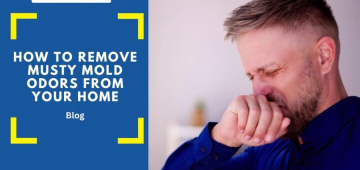 remove mold odors from home proven tips and home remedies