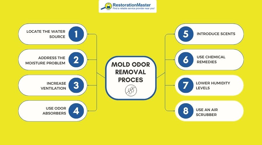 mold odor removal process mold odor removal process