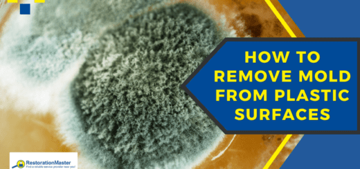 Mold on Plastic Surfaces - RestorationMaster