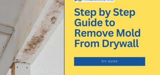 how to remove mold from drywall