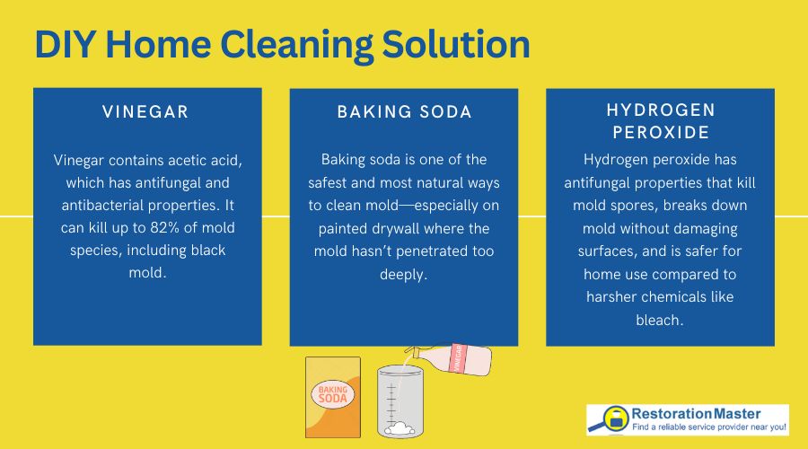DIY Home Cleaning Solution to Clean Mold on Drywall
