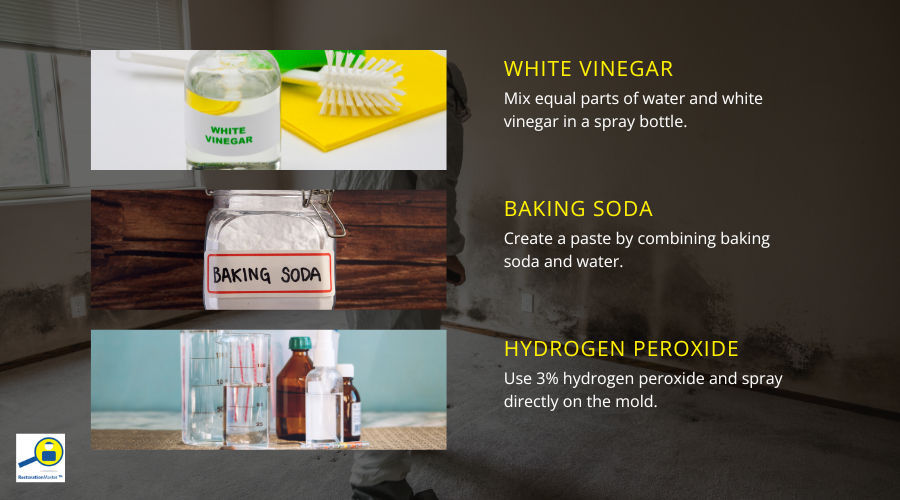 Remove Mold Growth from Your Carpets Remove Mold Growth from Your Carpets