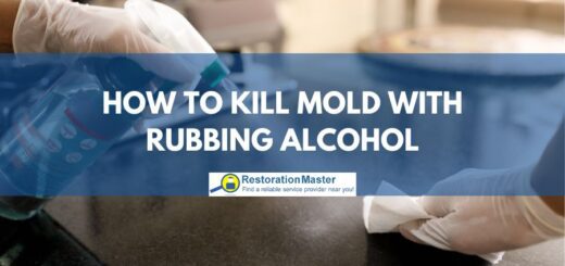 how to kill mold with rubbing alcohol