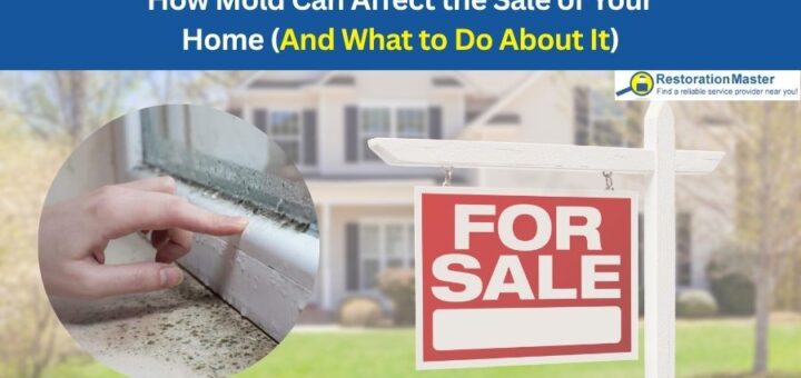mold affects the sale value of your home