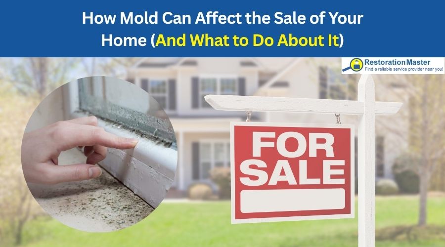 mold affects the sale value of your home