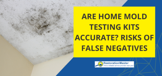 At Home Mold Testing Kits - RestorationMaster