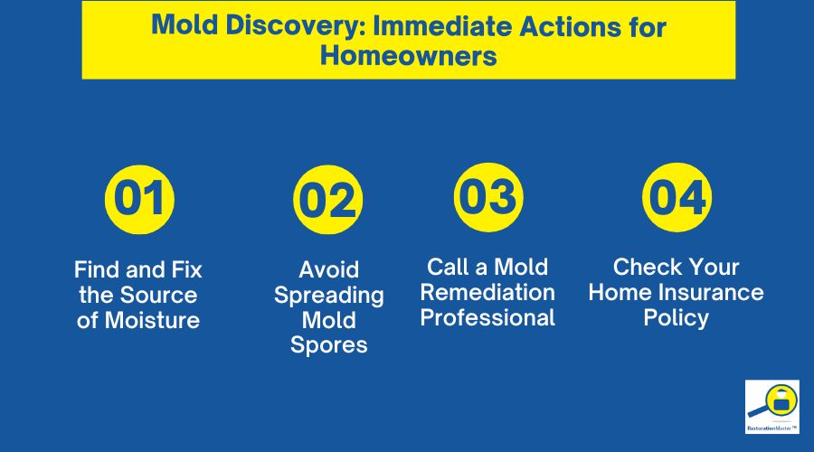 Mold Discovery: Immediate Actions for Homeowners
