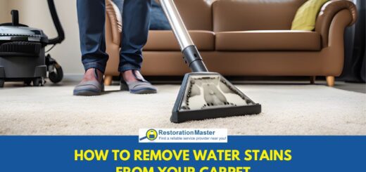 Professional carpet cleaner using steam cleaning equipment