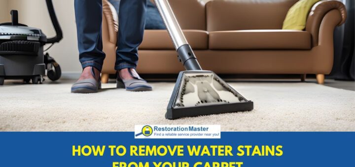 Professional carpet cleaner using steam cleaning equipment